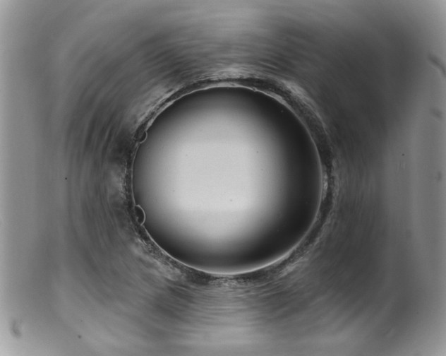 X0000099501217200805151423