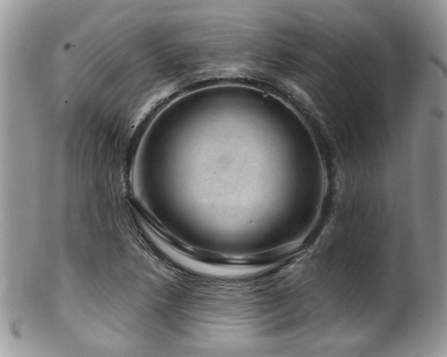 X0000099501218200805151423
