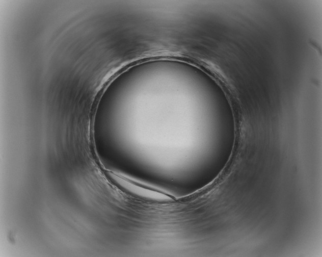 X0000099501220200805151423