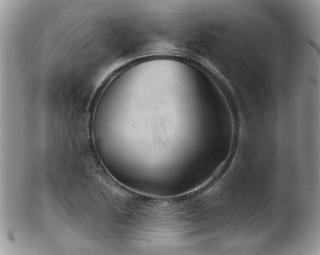 X0000099501222200805151423