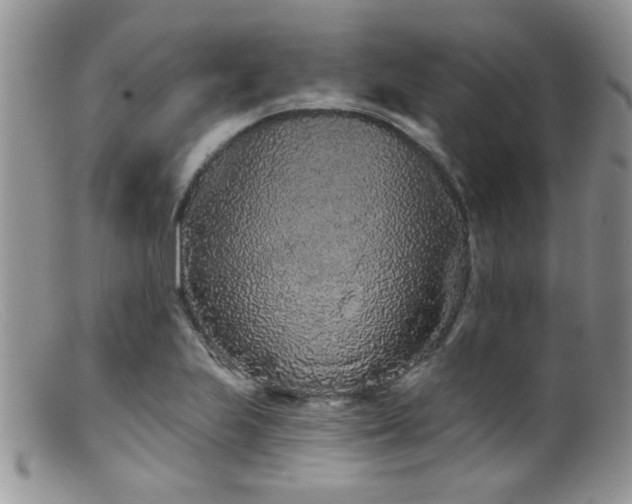 X0000099501223200805151423
