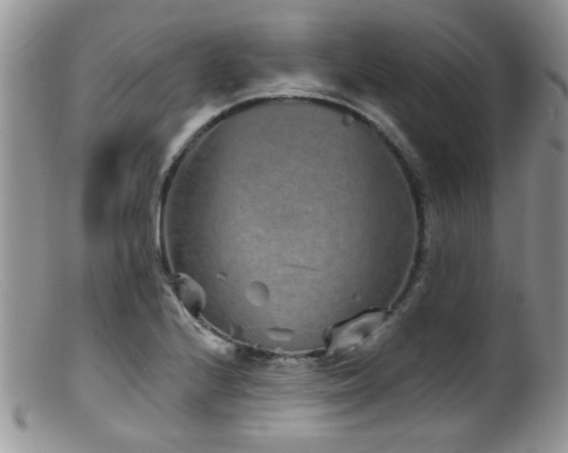 X0000099501224200805151423
