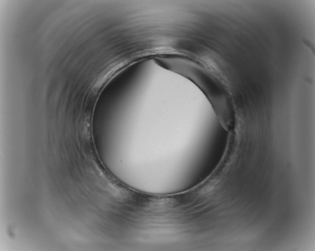 X0000099501225200805151423