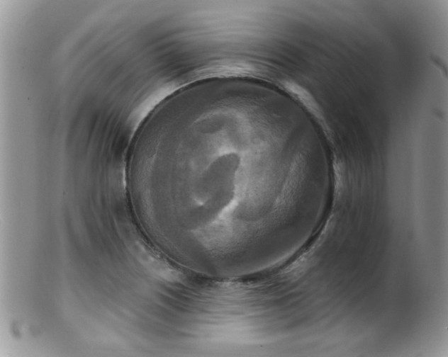 X0000099501226200805151423