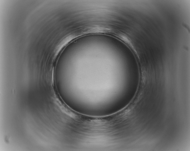 X0000099501227200805151423