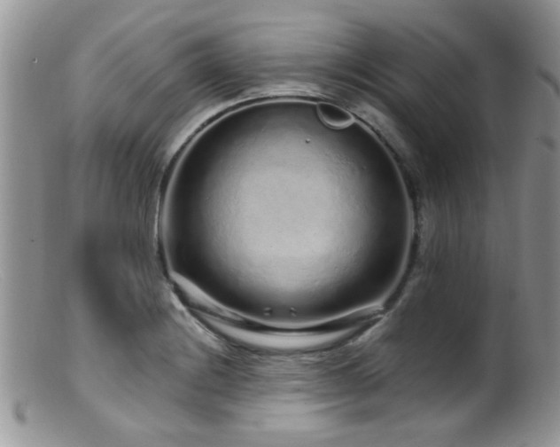 X0000099501228200805151423