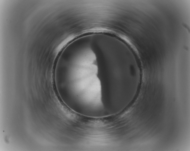 X0000099501229200805151423