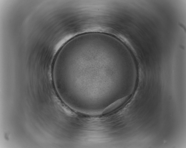 X0000099501230200805151423