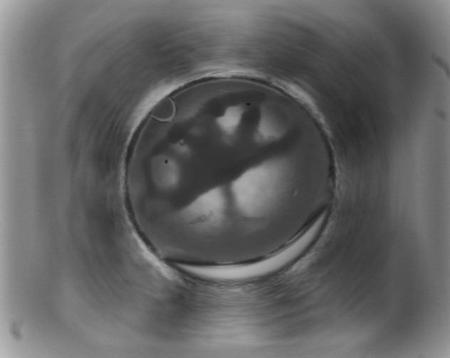X0000099501231200805151423