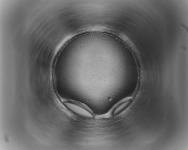 X0000099501232200805151423