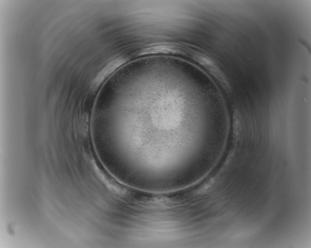 X0000099501233200805151423