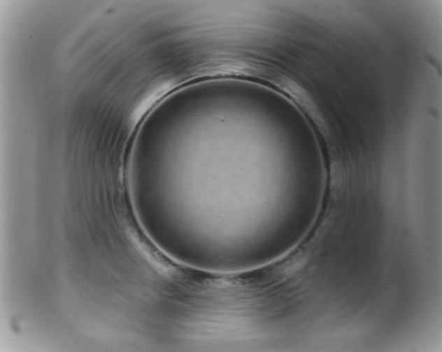 X0000099501234200805151423