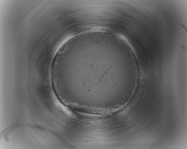 X0000099501235200805151423