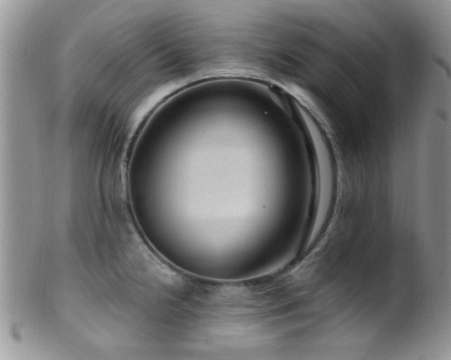 X0000099501238200805151423