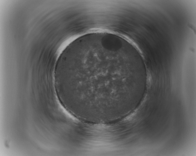 X0000099501239200805151423
