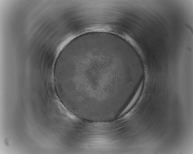 X0000099501240200805151423