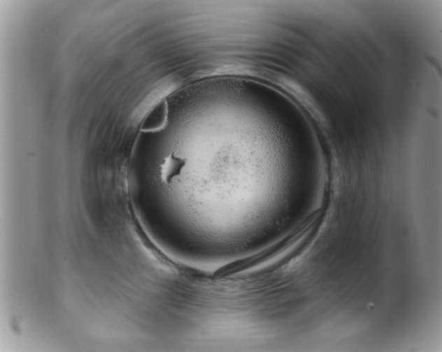 X0000099501241200805151423