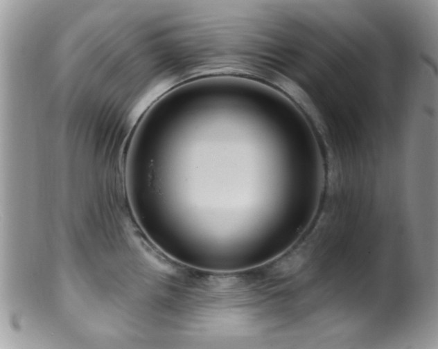 X0000099501242200805151423