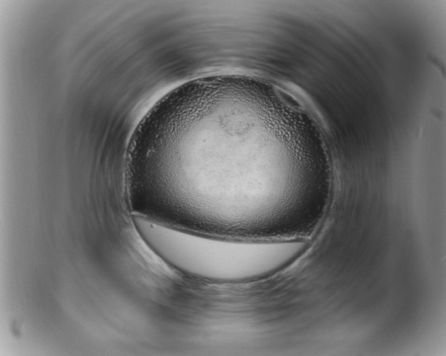 X0000099501244200805151423