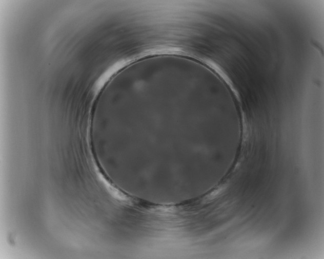 X0000099501245200805151423