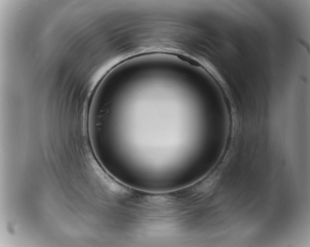 X0000099501246200805151423