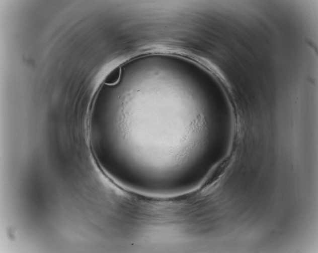 X0000099501247200805151423