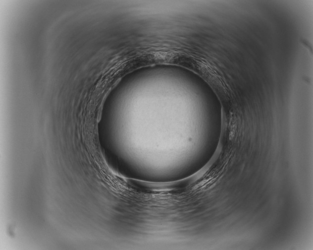 X0000099501249200805151422