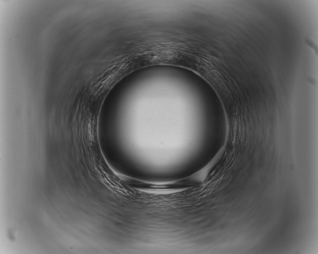 X0000099501250200805151422