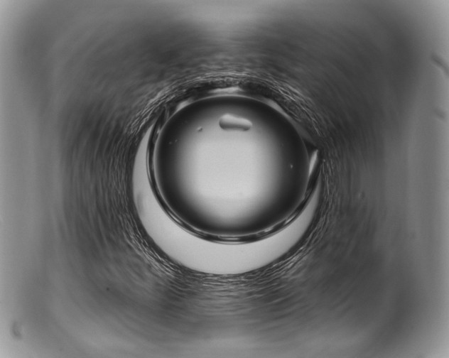 X0000099501252200805151422