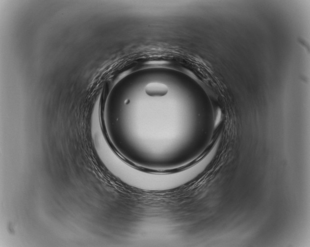 X0000099501253200805151422