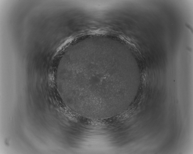 X0000099501254200805151422