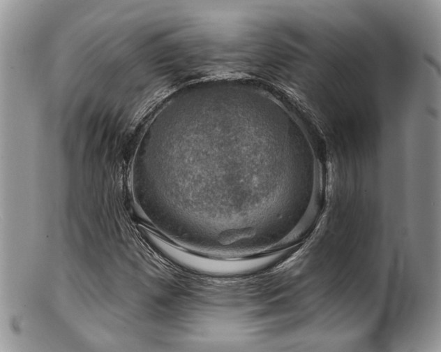 X0000099501257200805151422