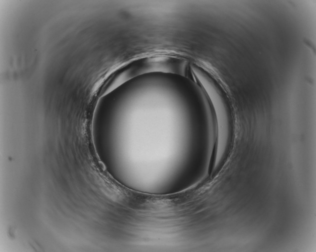 X0000099501260200805151422