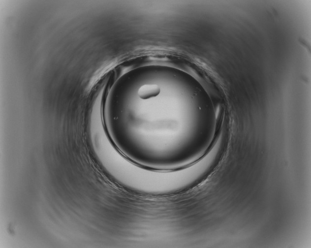 X0000099501261200805151422