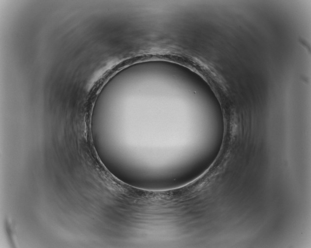 X0000099501262200805151422
