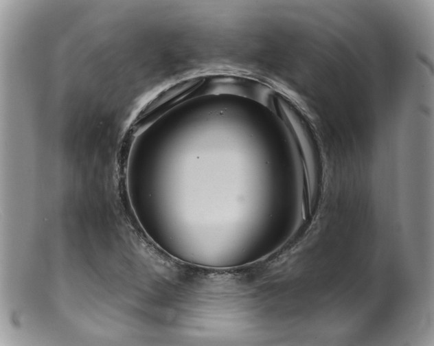 X0000099501264200805151422