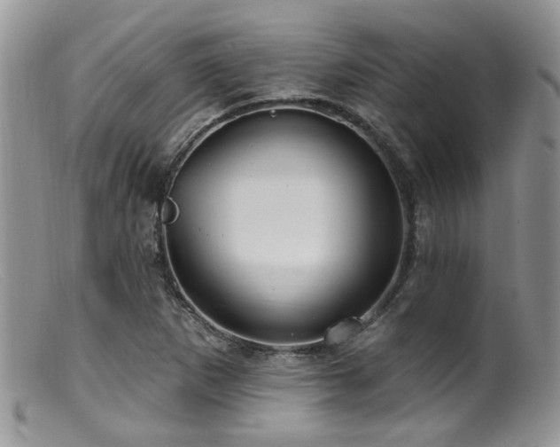 X0000099501265200805151422