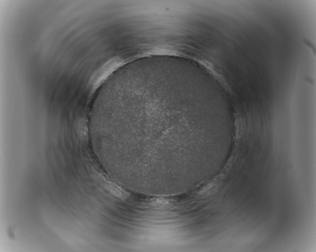 X0000099501266200805151422