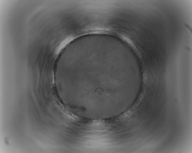 X0000099501267200805151422