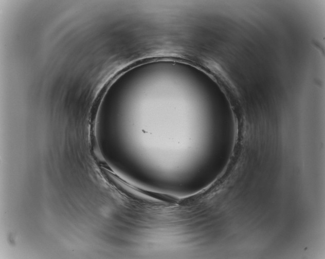 X0000099501268200805151422