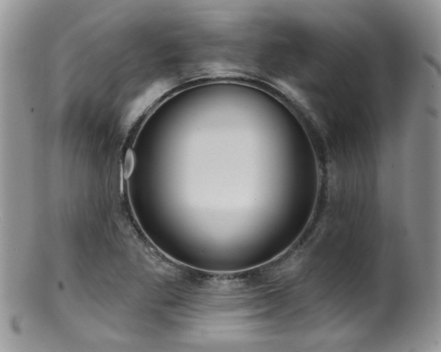 X0000099501269200805151422