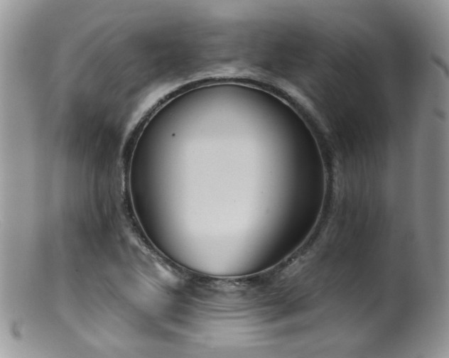X0000099501270200805151422