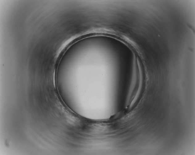 X0000099501272200805151422