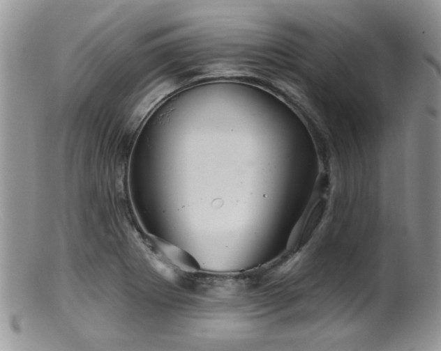 X0000099501273200805151422