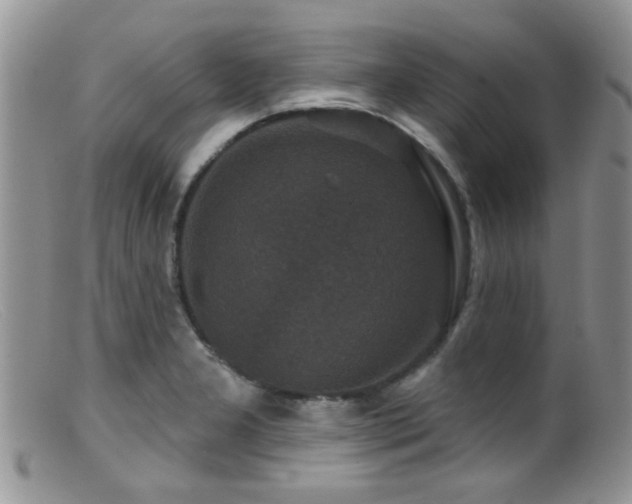 X0000099501277200805151422