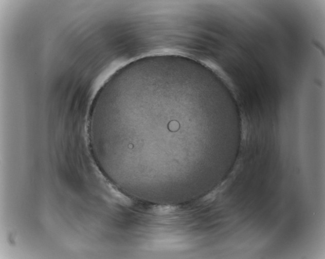 X0000099501278200805151422