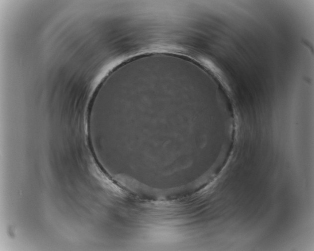 X0000099501280200805151422