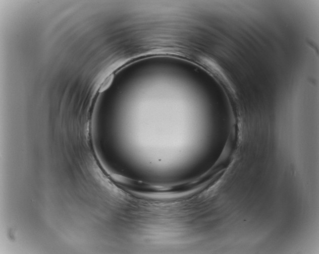 X0000099501284200805151422