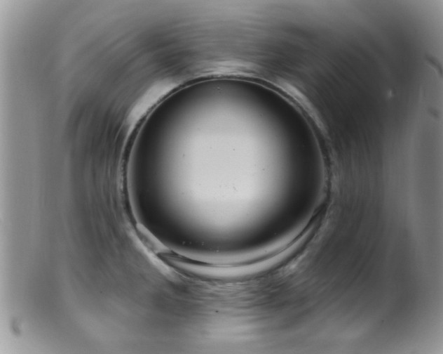 X0000099501285200805151422