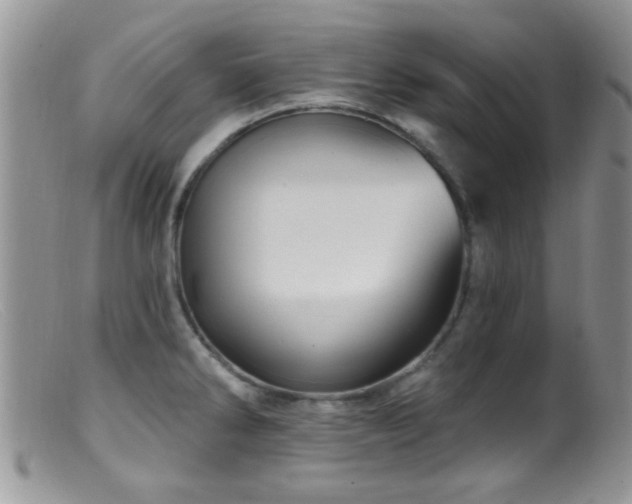 X0000099501286200805151422